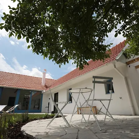 Villa Barvirka *